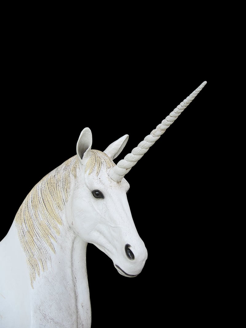Mysterious Unicorns